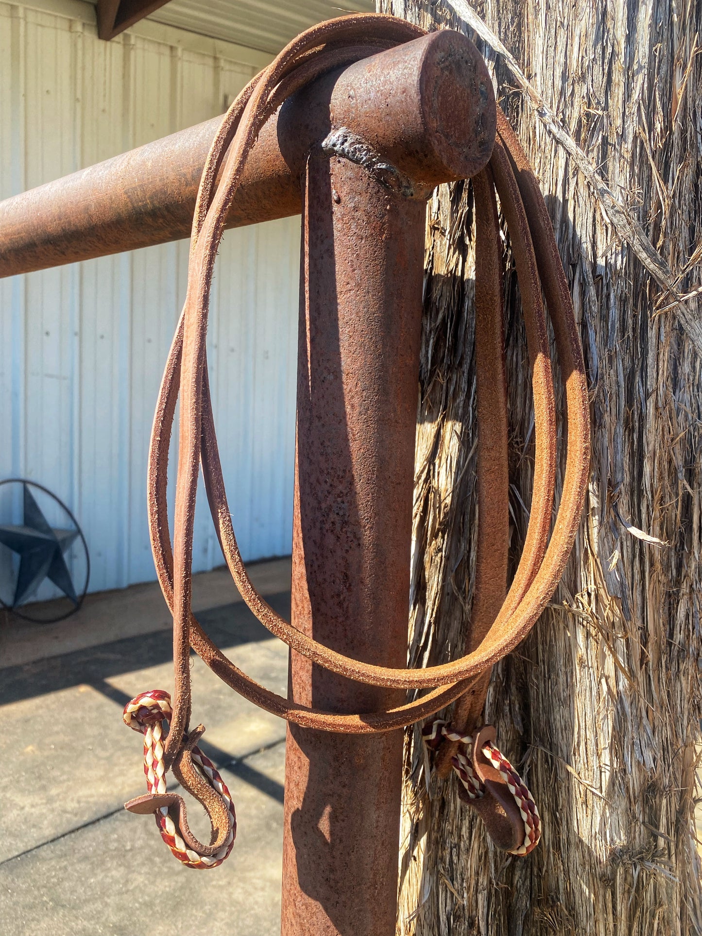 Thin light oiled reins