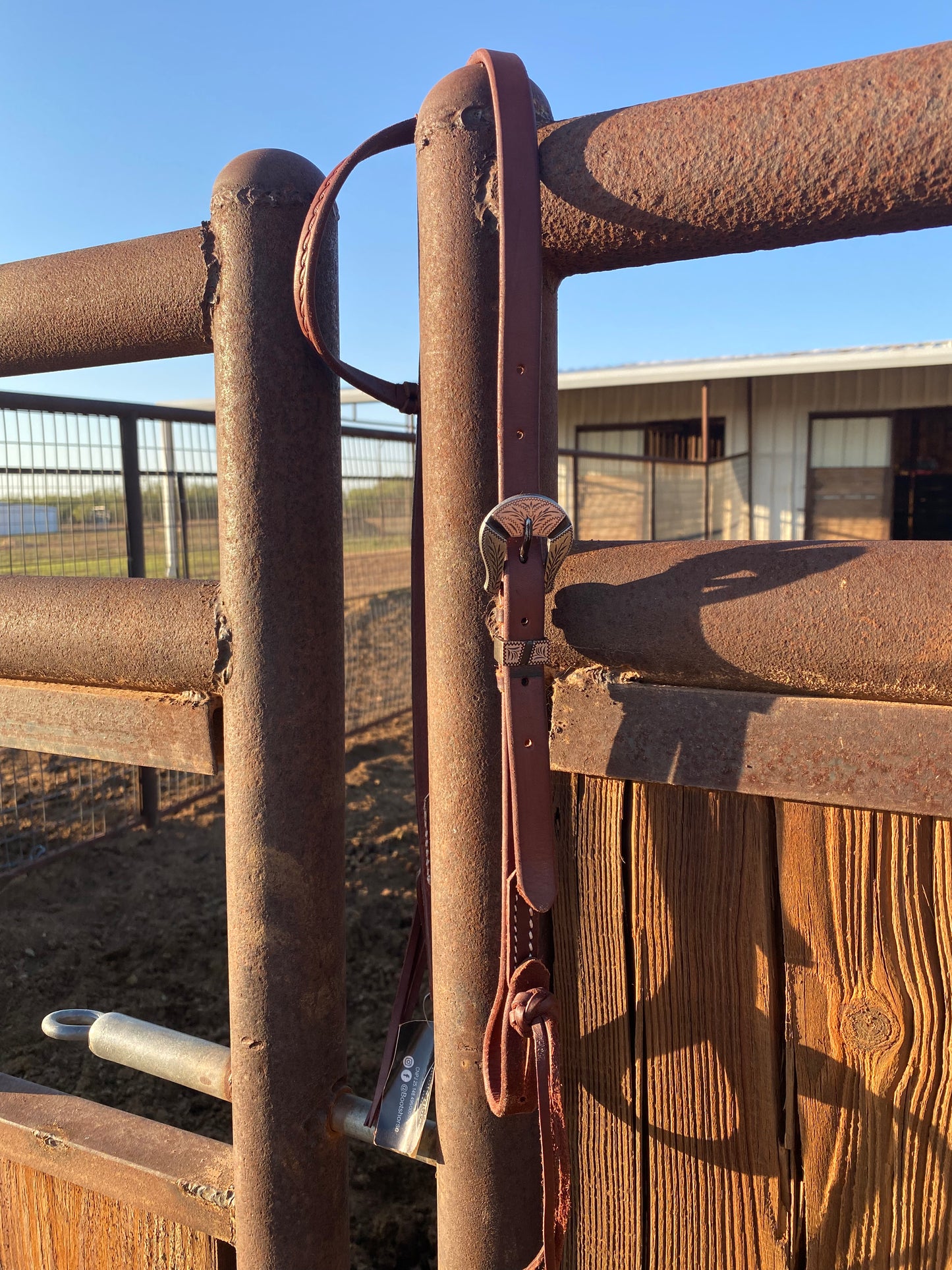 One ear headstall