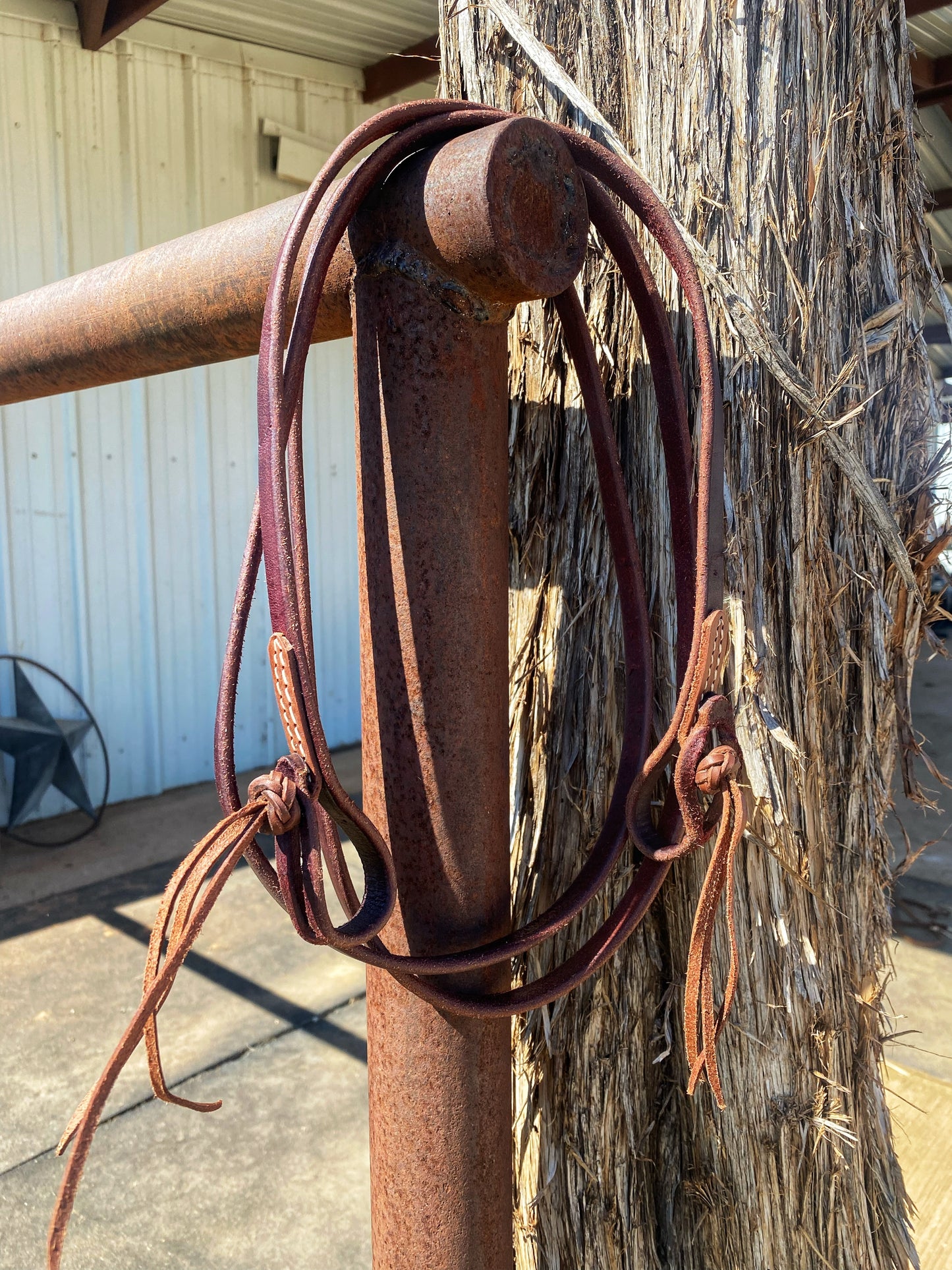 Dark oiled reins