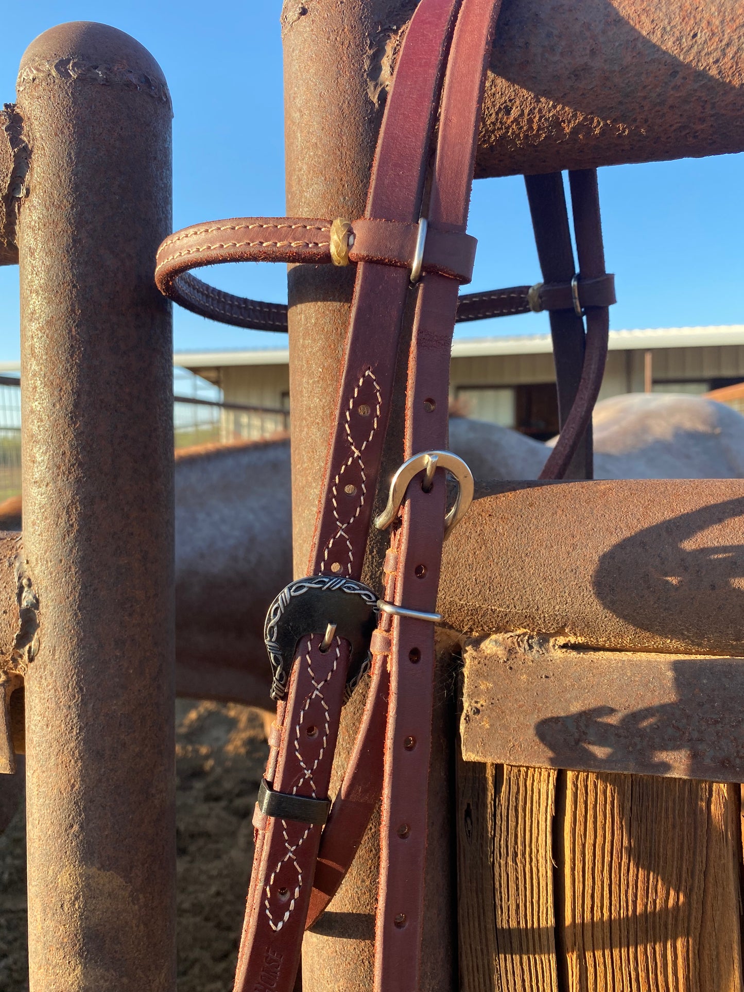 Headstall with brow and