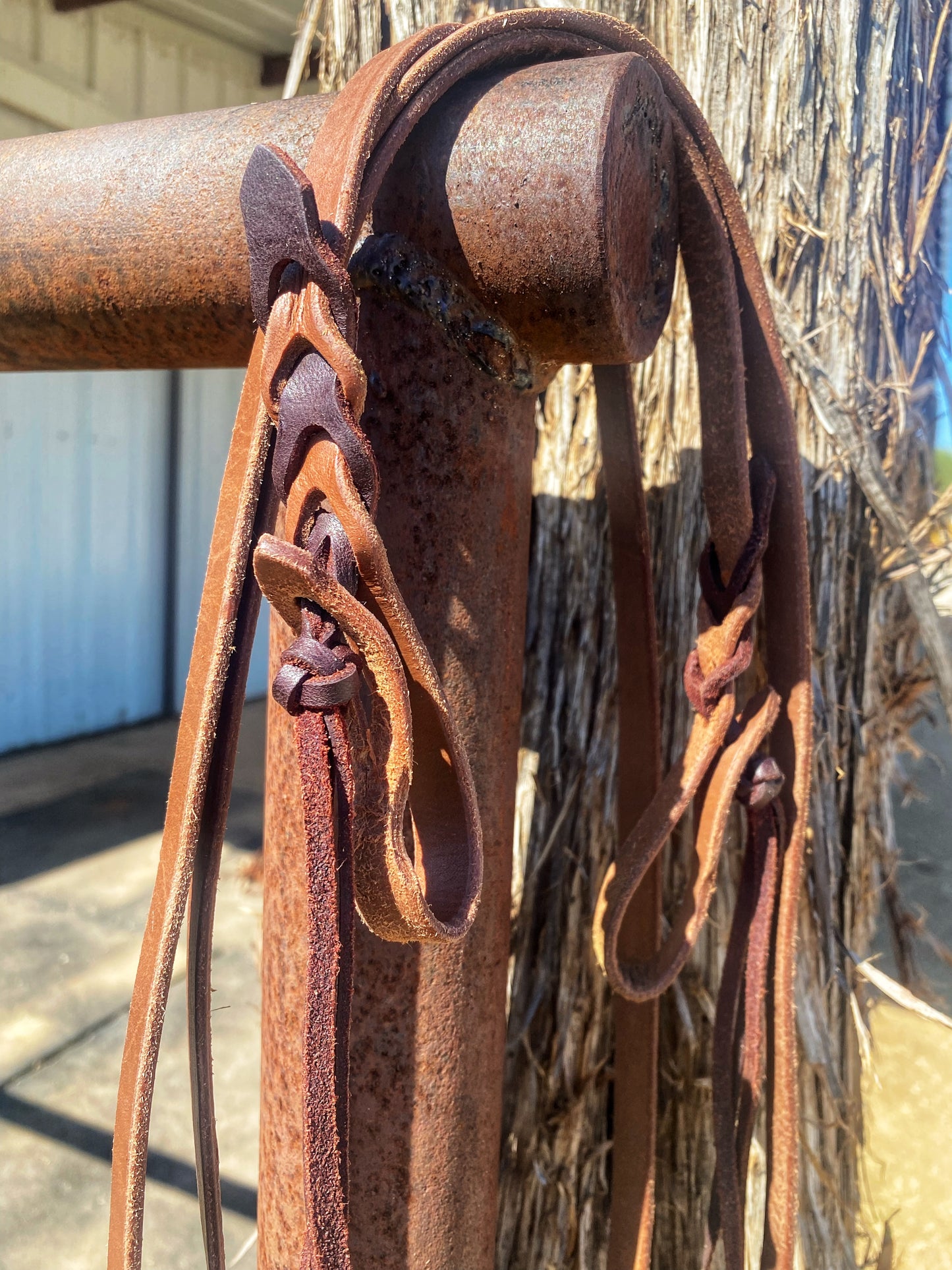 Thin light oiled reins