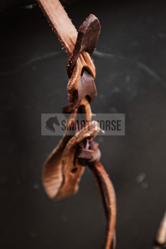 Thin light oiled reins